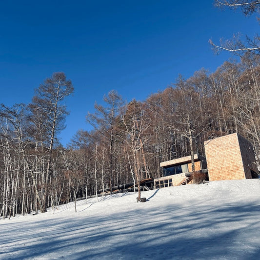 スタイルの履歴書。小林節正 #12