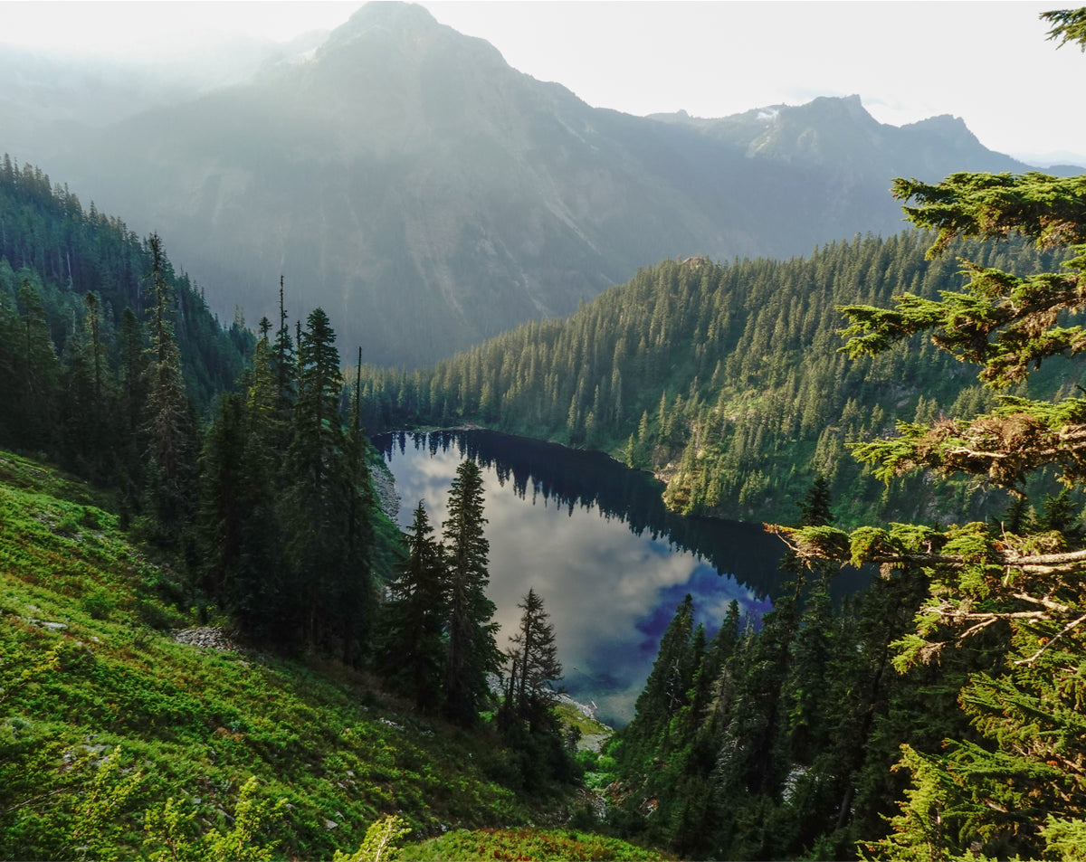 The scenery overseas is different after all. Vol.2 Pacific Crest Trail (USA)