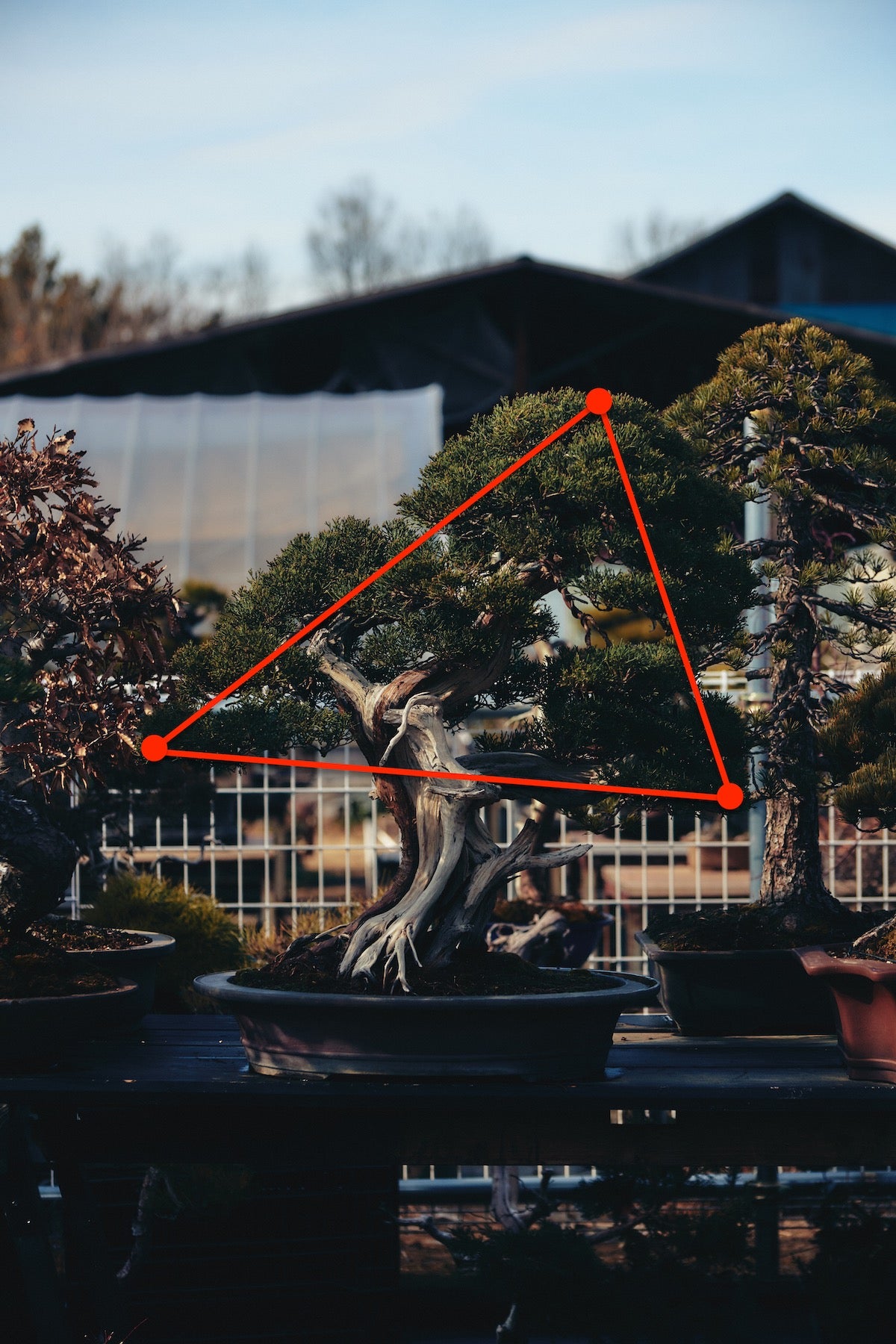 教科書通りの不等辺三角形を形づくる。