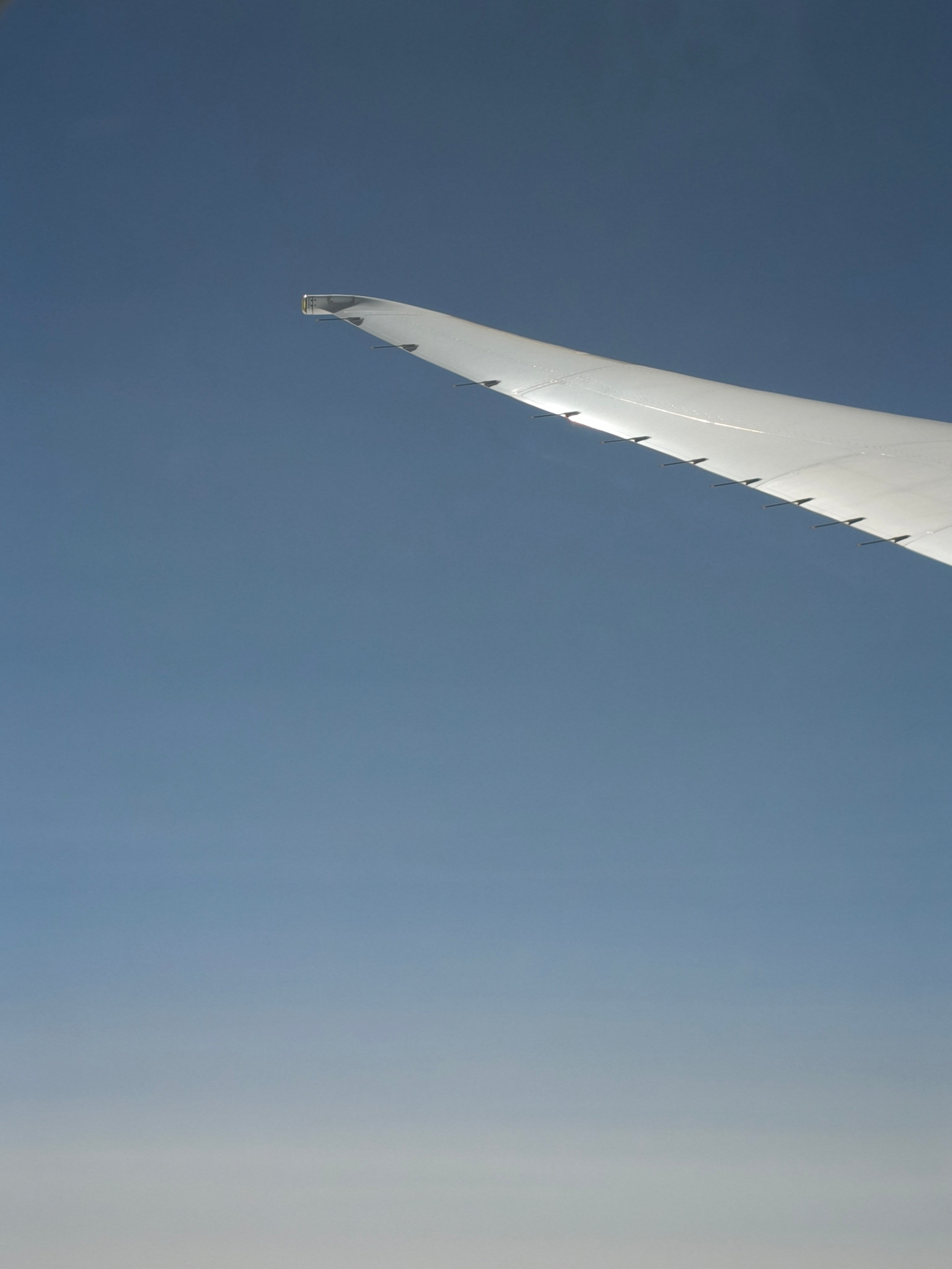 沖縄で撮影した写真。