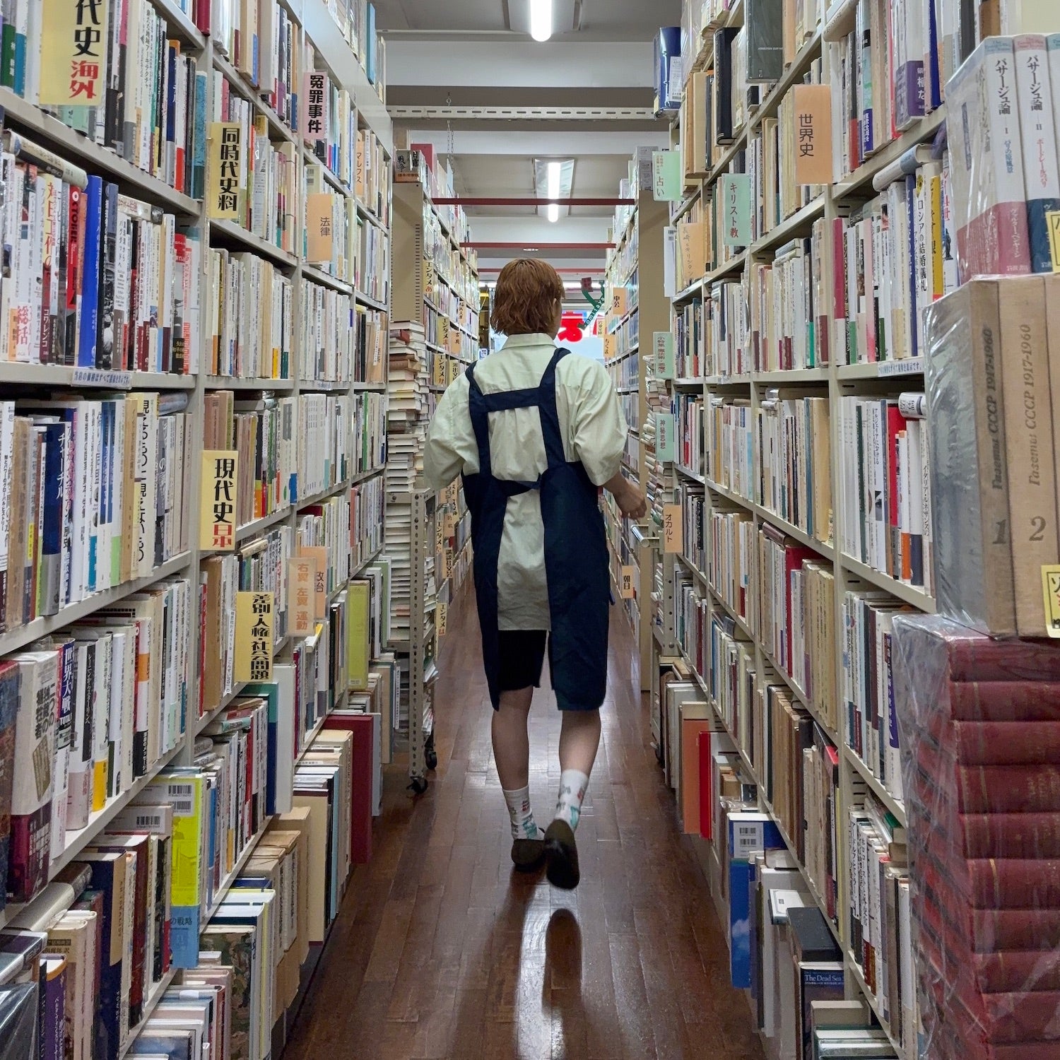 ブンがいざなう読書のラビリンス。五冊目