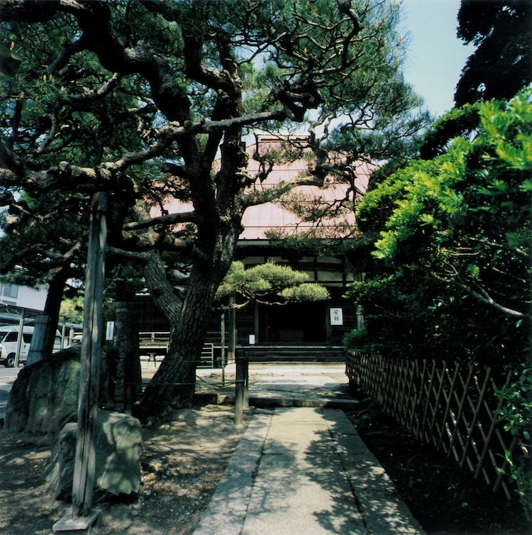 My family's Josenji Temple before it was rebuilt. The magnificent pine tree on the left still remains.