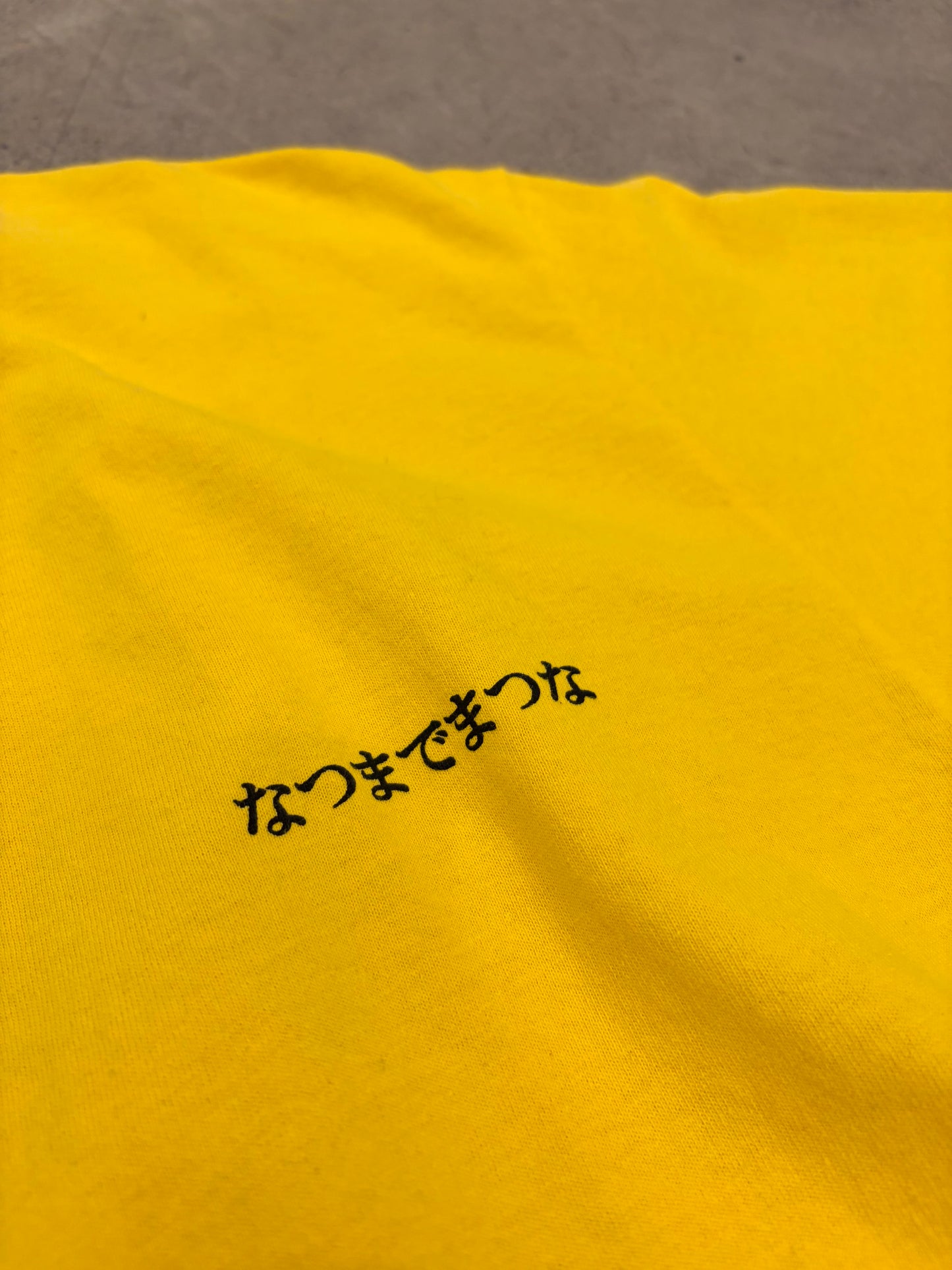 Houyhnhnm Editorial Department: CE fleece