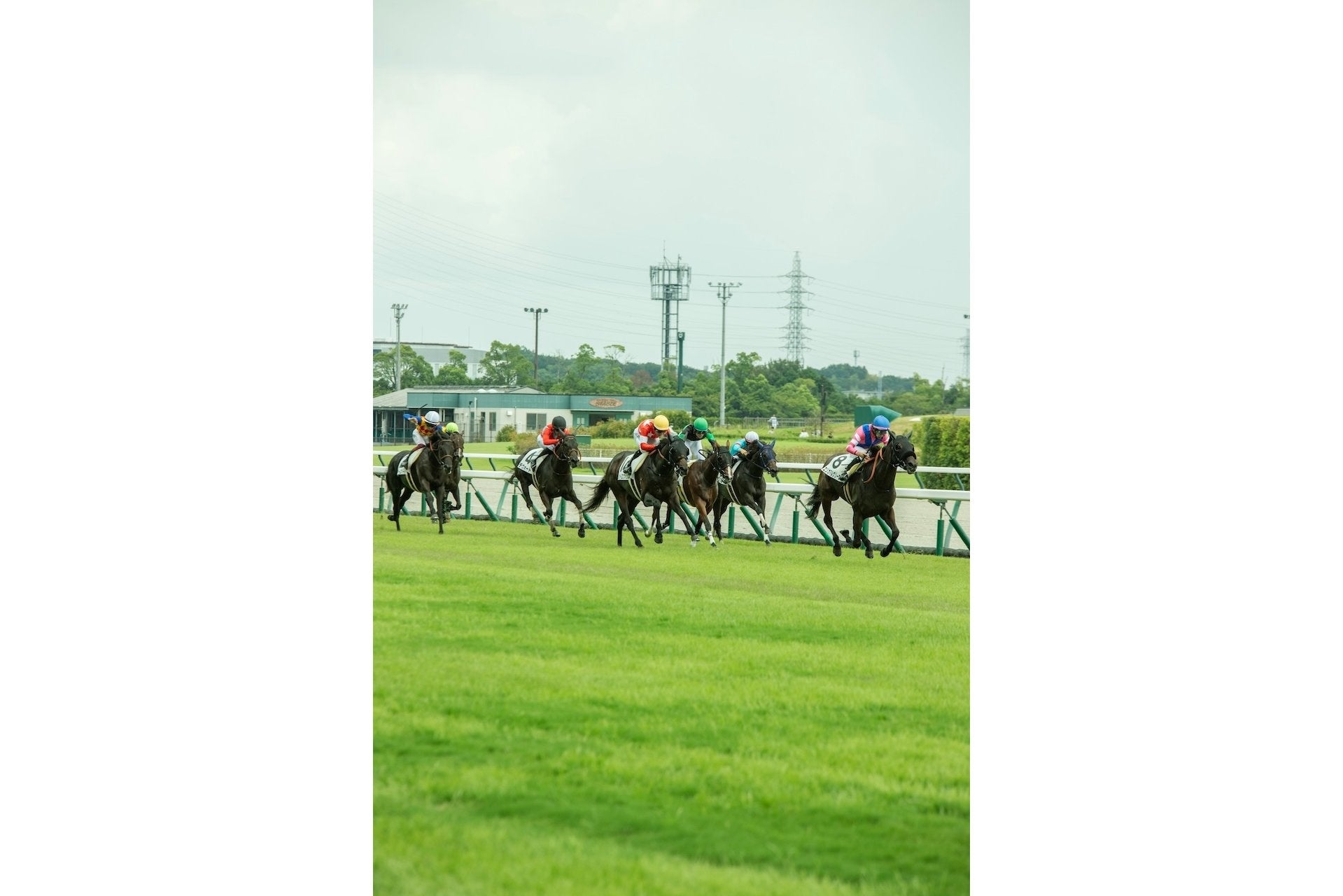 手に汗握るデッドヒートを繰り広げるレース終盤は客席全体から大歓声がわき、場内の盛り上がりは最高潮に。