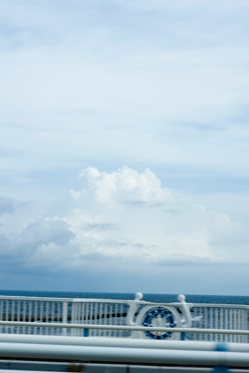 すっかり雨も止み、夏の終わりを感じさせる入道雲を横目に帰路についた。